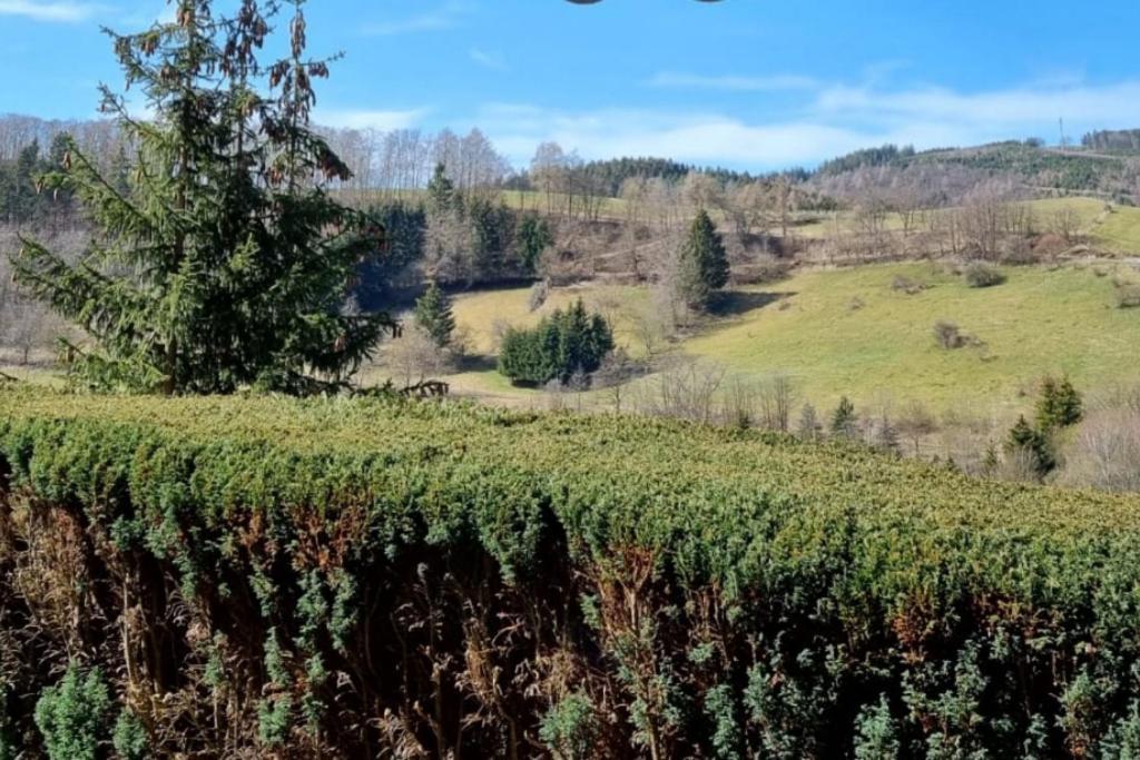 Ferienwohnung Aartalblick Willingen Віллінген Екстер'єр фото