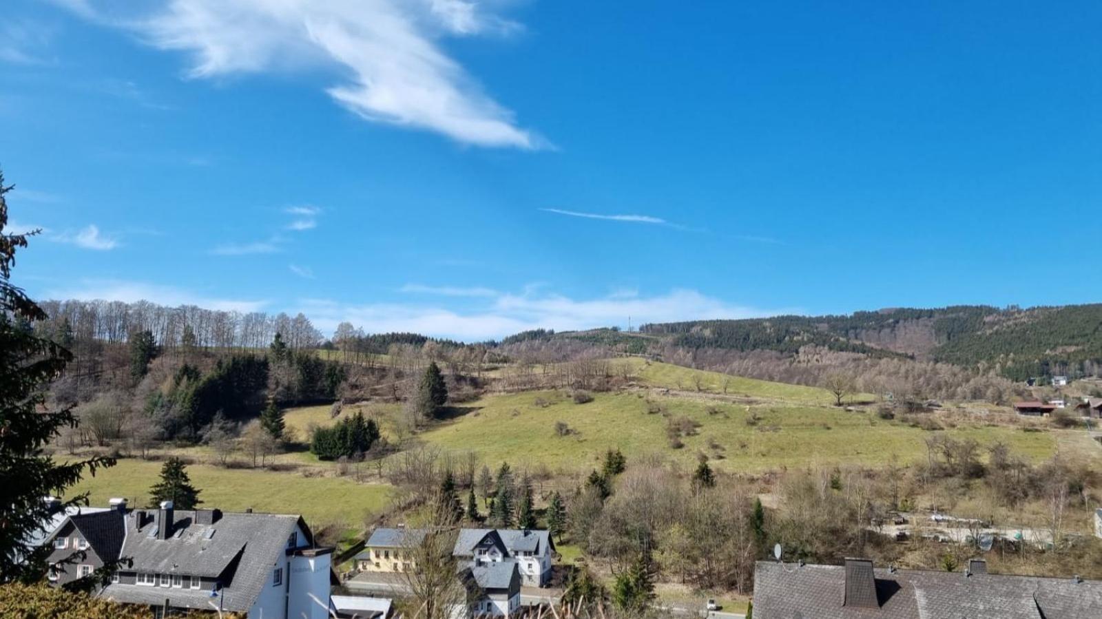 Ferienwohnung Aartalblick Willingen Віллінген Екстер'єр фото